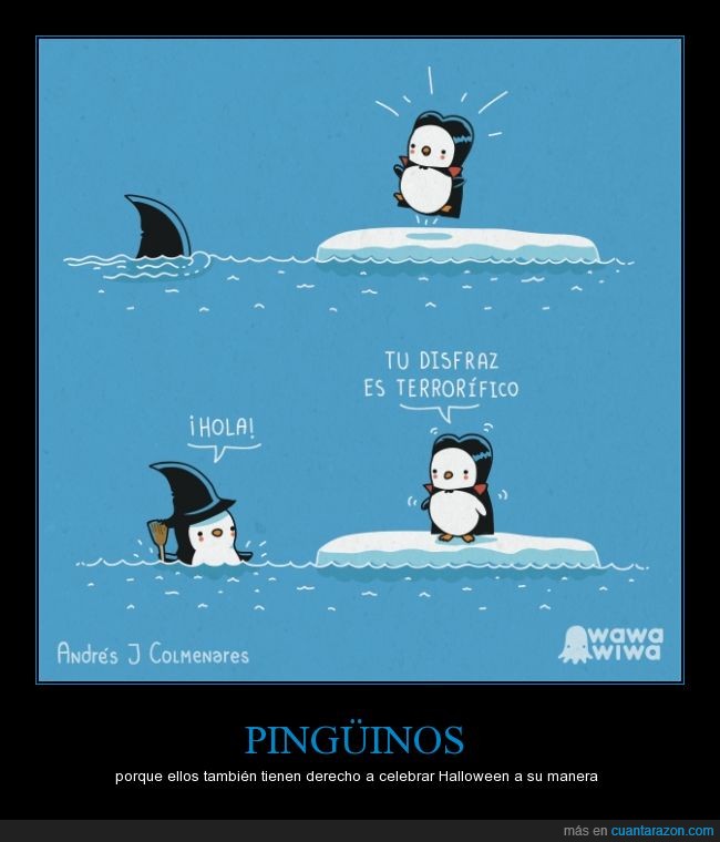 orca que parece bruja,orca,polo sur,ártico,oceano,pingüinos,pingüino vampiro,pingüino bruja
