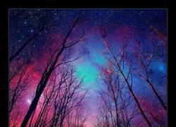 Enlace a CIELO