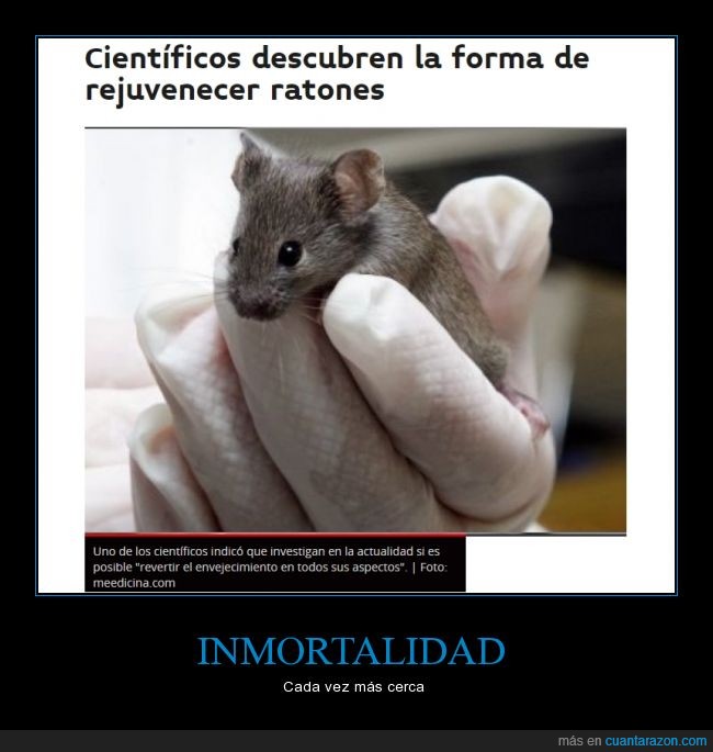 Jordi Hurtado,inmortalidad,ratones,científicos,celula,juventud,envejecer