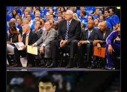 Enlace a GENTE NORMAL