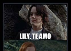 Enlace a SNAPE