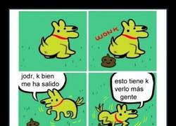 Enlace a ¿POR QUÉ NO?