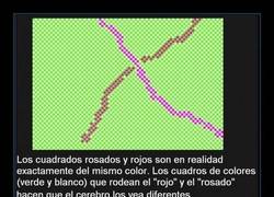 Enlace a CAZADORES DE MITOS