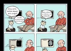 Enlace a GATOS DOCTORES