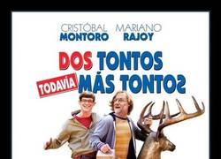 Enlace a DOS TONTOS