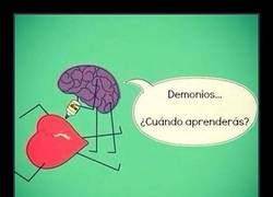 Enlace a JAMÁS APRENDEREMOS