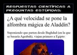 Enlace a ALFOMBRA MÁGICA