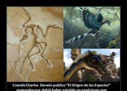 Enlace a ARCHAEOPTERYX