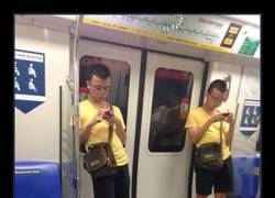 Enlace a NOBITA