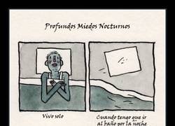 Enlace a MIEDOS NOCTURNOS