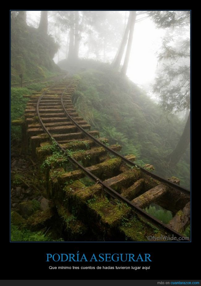 cuento,historia,fantasia,niebla,tren,bosque,paisaje,via,lugar