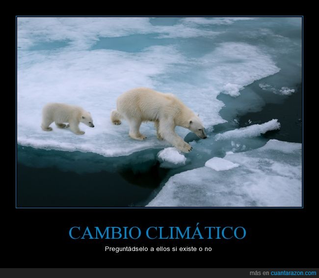 BBC,Cambio climático,Deshielo,DisneyNature,En el 2030 pueden haberse extinguido en estado salvaje,Nos afecta a todos,Oso polar