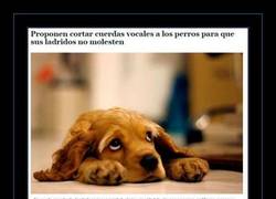 Enlace a AFORTUNADAMENTE