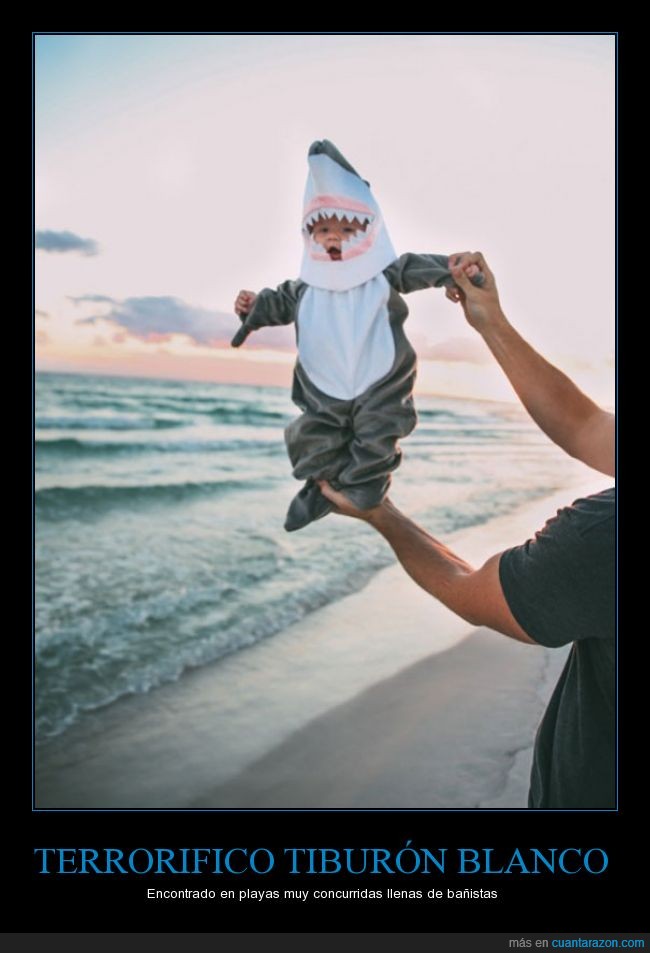 bebé,tiburón,foto,humor,playa,arena,mar,ternura