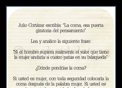 Enlace a LA AMBIVALENCIA