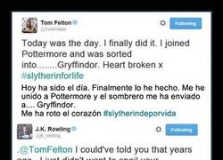 Enlace a TOM FELTON