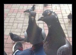 Enlace a NO CUMPLISTE TU PAGO