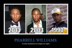 Enlace a PHARRELL WILLIAMS
