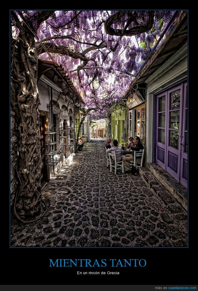 Grecia,calle,empedrado,flores,árbol,flor