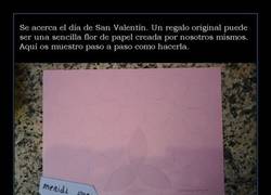 Enlace a ROSAS DE PAPEL