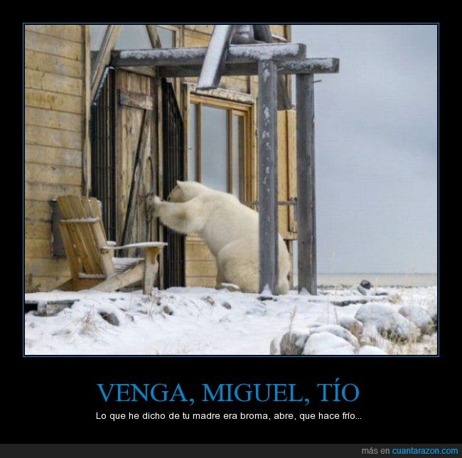 oso,polar,frio,Miguel,discusion,amigo,madre,broma,abrir,abre,puerta,esperar,cabaña,nieve