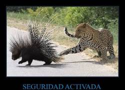 Enlace a SEGURIDAD ACTIVADA
