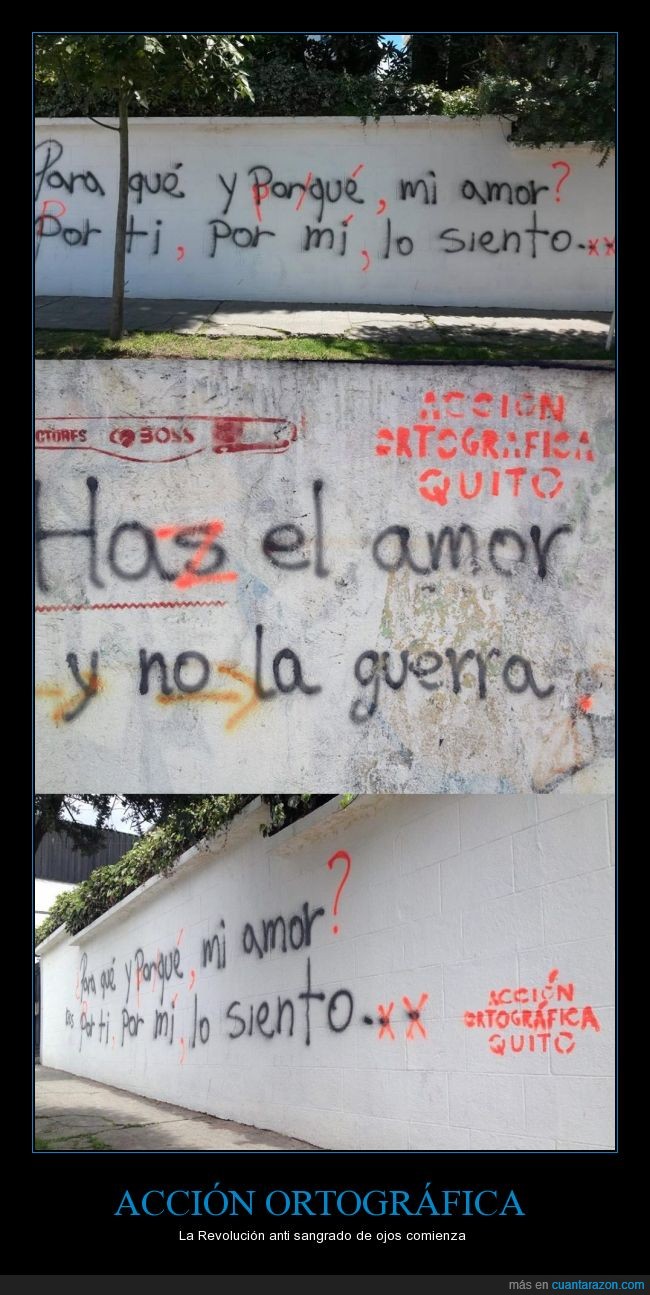 ortografía,revolución,amor,corregir,correción,falta,puntuación,Acción Ortográfica,Quito