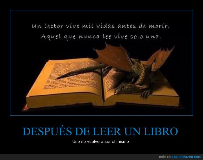 libro,lectura,leer,dragón,imaginacion,ser,vida,lector