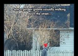 Enlace a GNOMOS DE JARDÍN