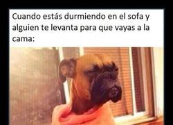 Enlace a VENGA, ACUÉSTATE