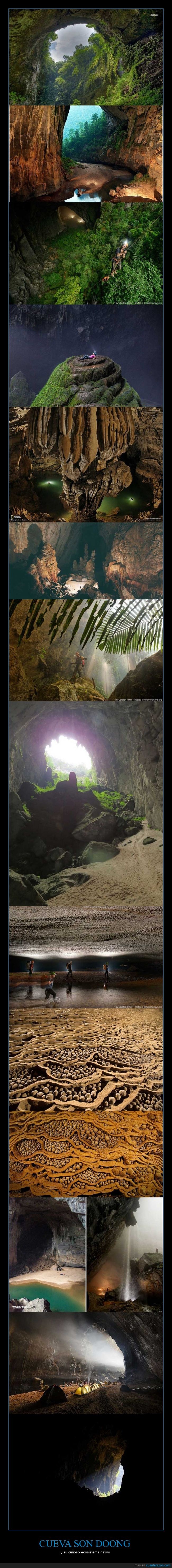 cueva,eso es una caverna,selva bajo otra selva ._.,dentro,ecosistema,Son Doong