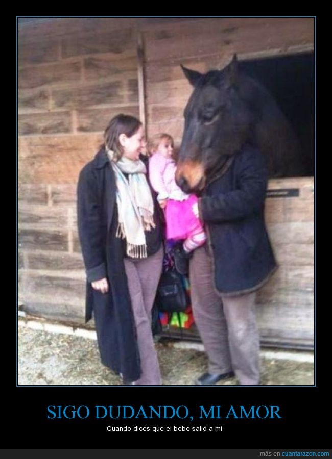 caballo,foto,bebe,padre,madre,momento exacto,niña