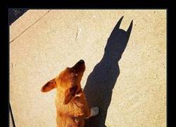 Enlace a MIENTRAS YO ESTÉ AQUÍ