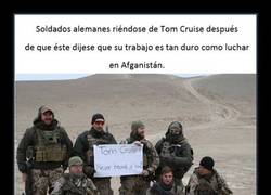 Enlace a TOM CRUISE