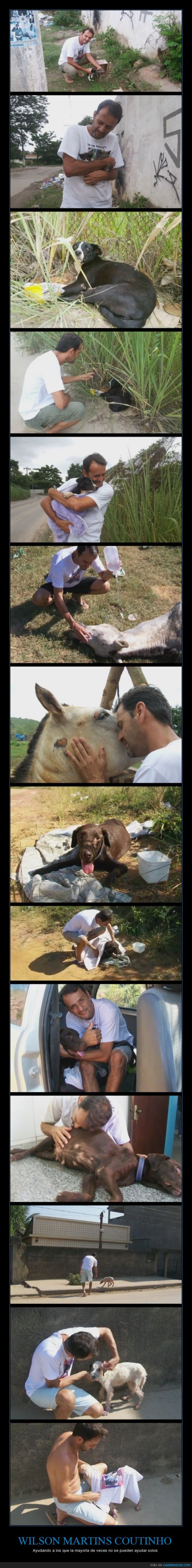 Wilson Martin,salvador,animales,abandonados,maltratados,muy graves,rescatar,ayuda,desinteresado,los cura,vida,perro