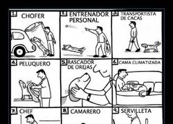 Enlace a HUMANO MULTIUSO