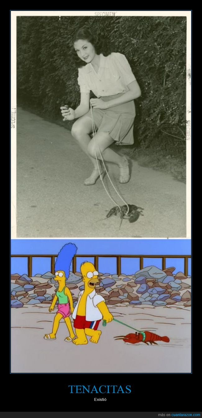 foto antigua,Homer,langosta,Los Simpson,pasear,Tenacitas