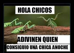 Enlace a El mantis quiere vacilar...