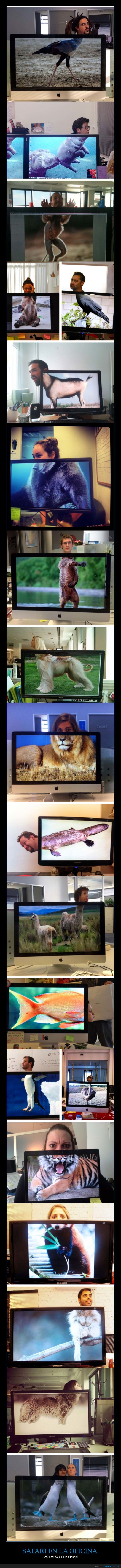 safari,animal,pantalla,cominar,cabeza,Mike & Ben,Mike and Ben