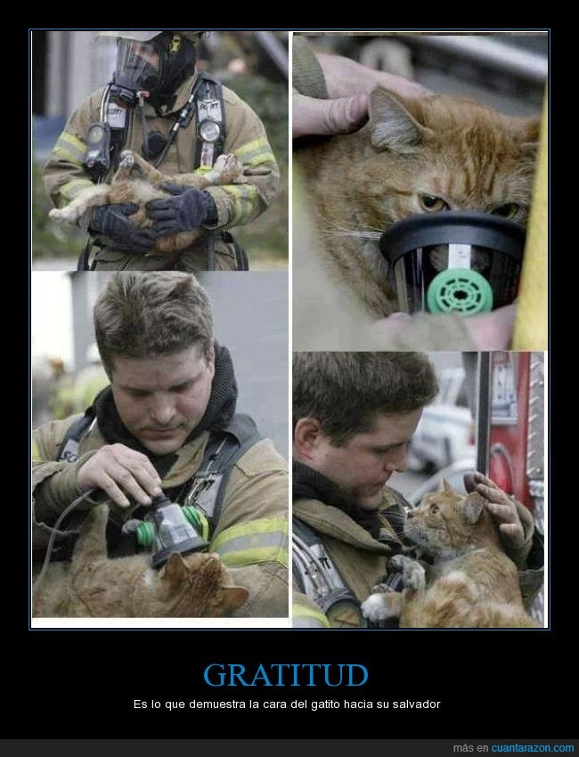 salvador,gato,bombero,oxigeno,mirada,ayuda