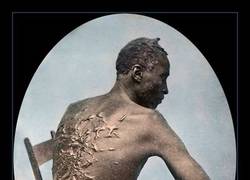 Enlace a ESTAMPA COLOREADA