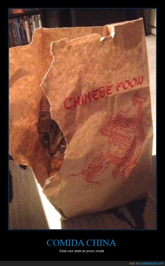 gato,cocinado,chino,crudo,comida,bolsa,china,llevar