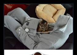 Enlace a También sirve para perretes