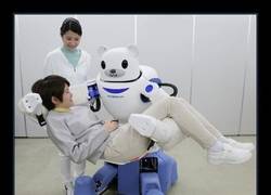 Enlace a ROBEAR