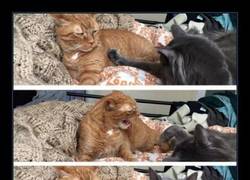 Enlace a ESOS DÍAS DEL MES