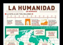 Enlace a Números y más números para explicarlo todo