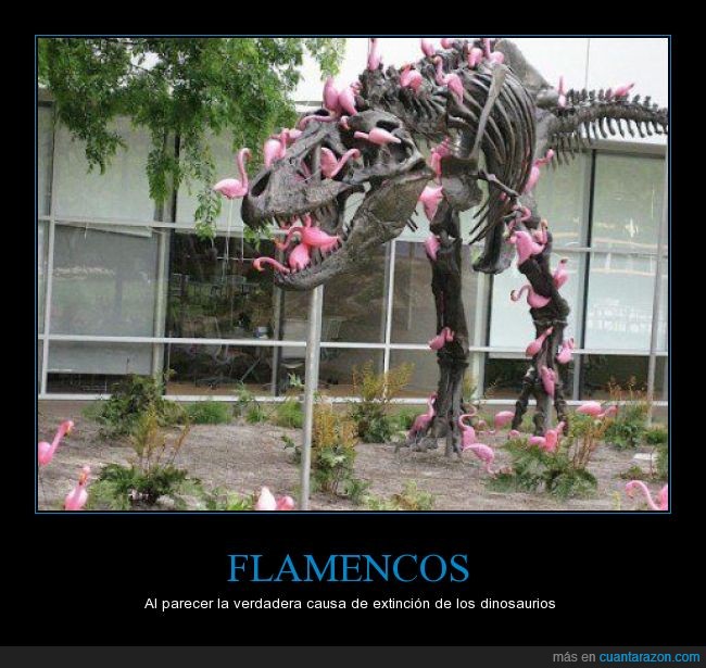 Tres,huesos,dinosaurios,flamenco,bandada