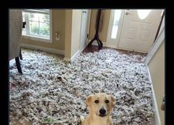 Enlace a NO TE LO VAS A CREER