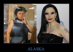 Enlace a ALASKA