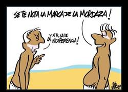 Enlace a MORENO PALETA